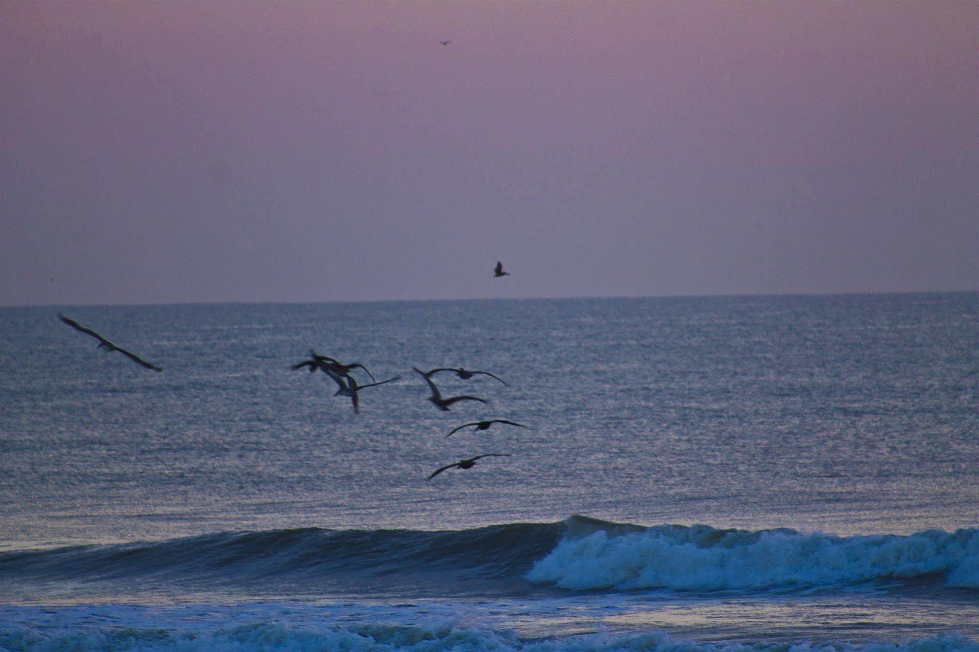 Makai Beach Lodge Ormond Beach Buitenkant foto