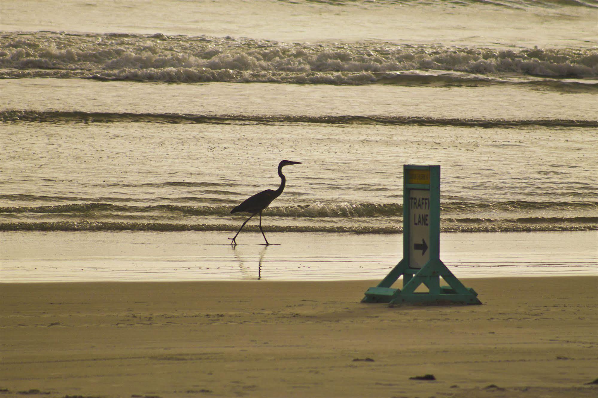 Makai Beach Lodge Ormond Beach Buitenkant foto